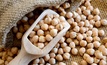 Chickpea and lentil growers hit by 30% tariff