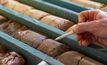 Drill core from Pitfield 