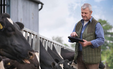 Advice for farmers applying for the Farming Investment Fund
