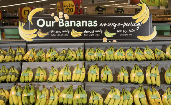 Morrisons to remove millions of single use plastics each year with new paper band on bananas | Credit:Morrisons