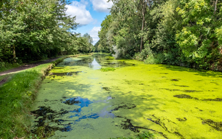 Environment Agency: Just 14.3 per cent of England's surface waters achieve 'good' ecological status