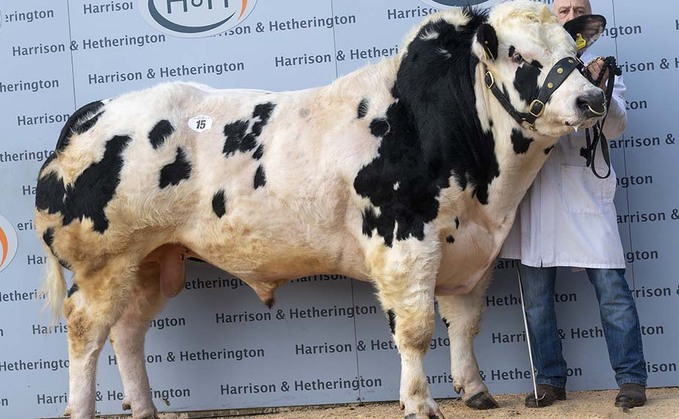 British Blues top at 10,000gns twice