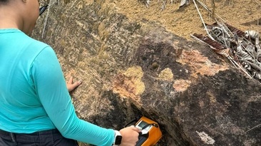 BRE adds to Brazilian REE bonanza