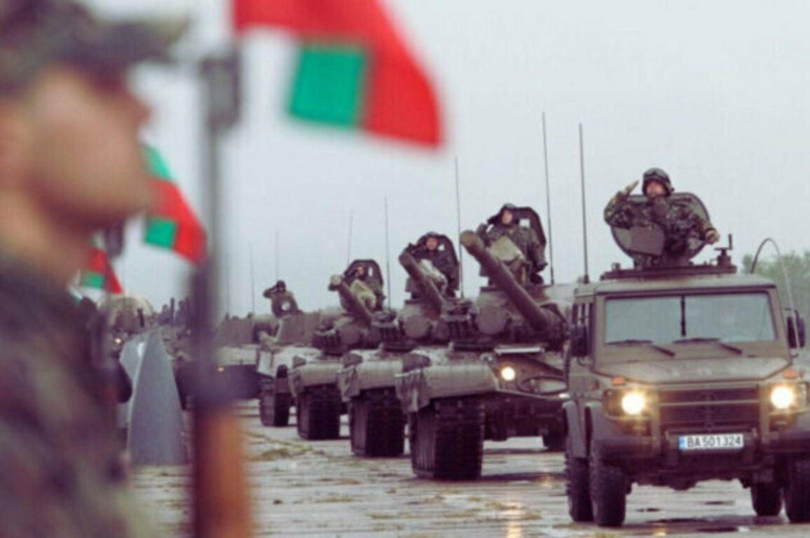 Bulgaria's Defense Sector Faces Serious Challenges