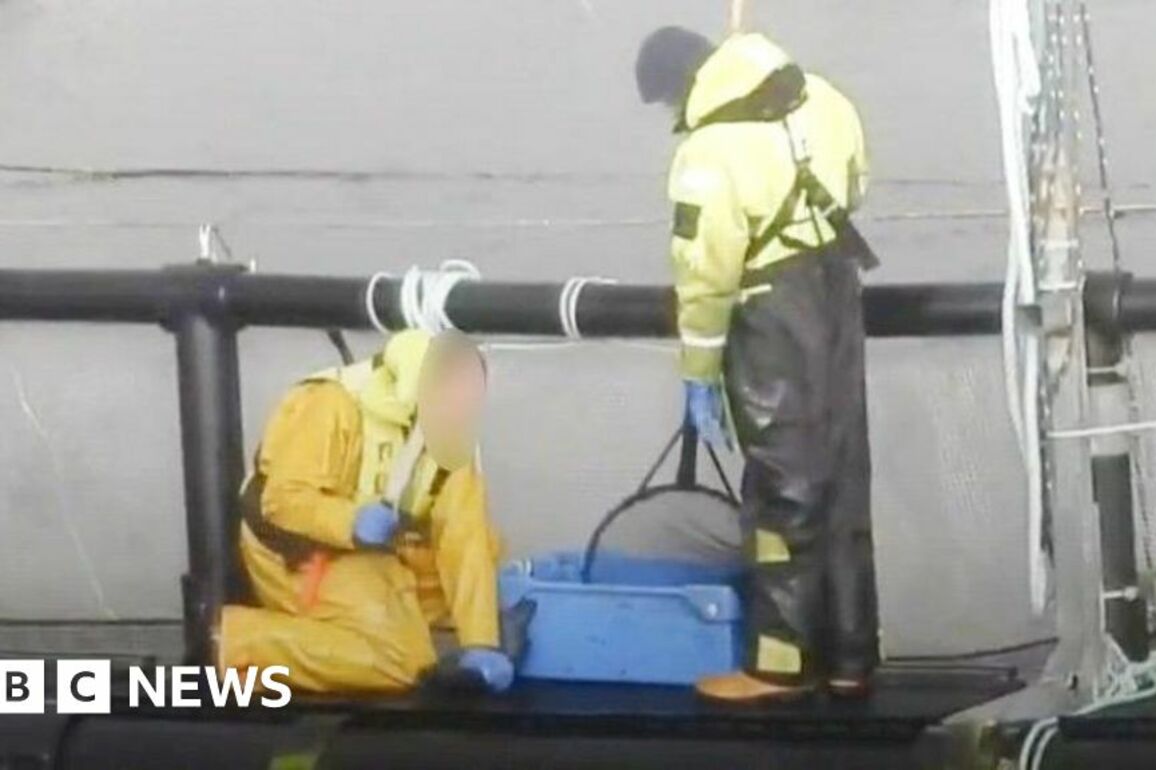 Skye salmon farm suspended by RSPCA over alleged abuse videos