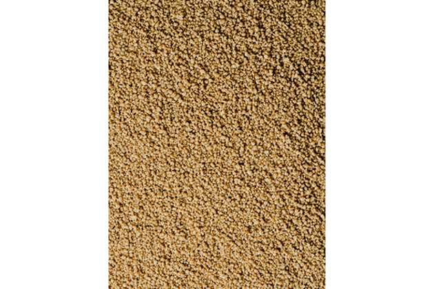 India's millet standards applauded at 88th Codex Executive Committee Meet in Rome