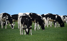 Are your youngstock holding back your milk cheque?
