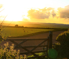 'Farmers need quality advice and support to adapt': Pressure mounts on government to clarify green vision for farming