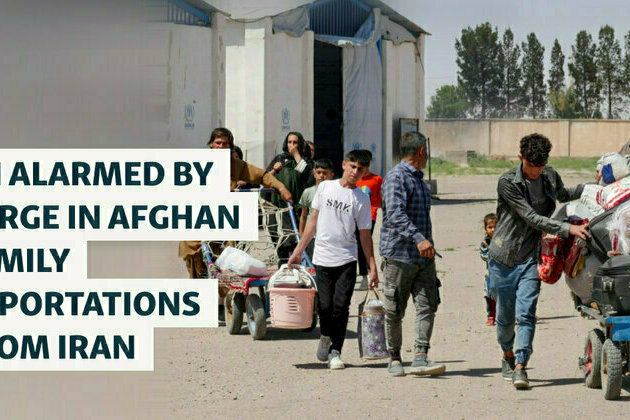 UN Alarmed By Surge In Deportations Of Afghan Families From Iran