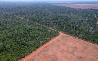 WWF warns end of Amazon Soy Moratorium could fuel 1.4 million hectares of deforestation