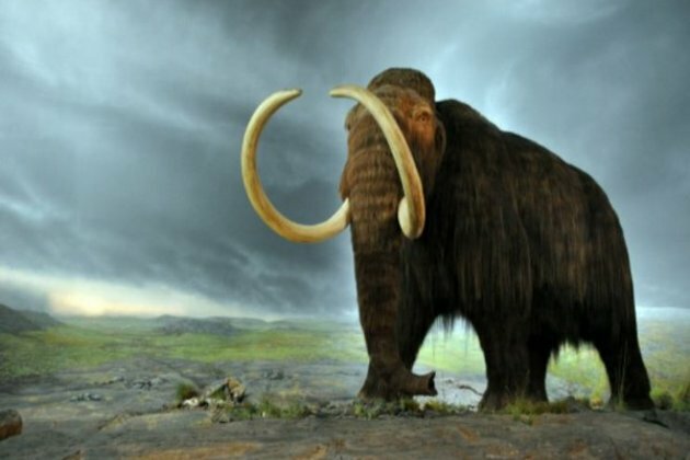 Study identifies more than 500 animal species considered to be lost