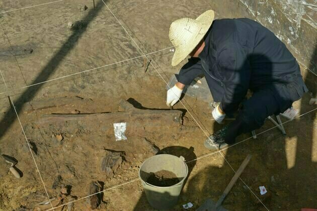 Rare wooden tools from Stone Age China reveal plant-based lifestyle of ancient lakeside humans