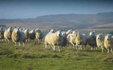 Upland farmers call on Defra to publish modelling data on new SFI options