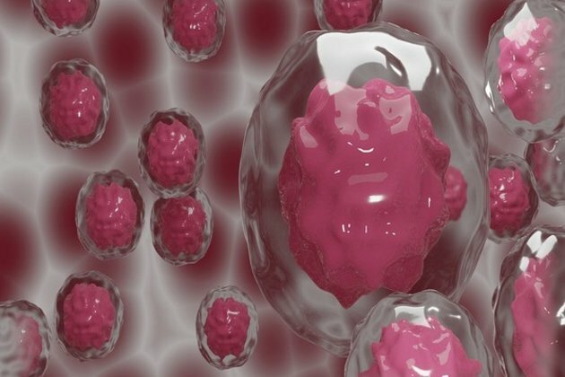 Study focuses on new discovery in regenerative medicine