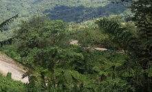 Bougainville.