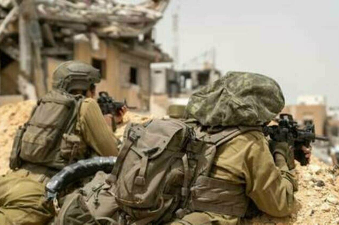 Israel to 'do in Gaza what we did in Tokyo and Berlin' - senator
