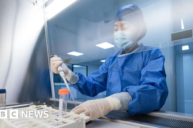 UK scientists developing Ebola vaccine that could be ready for trials in months