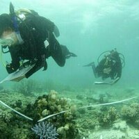 UNESCO expresses 'utmost concern' at the state of the Great Barrier Reef