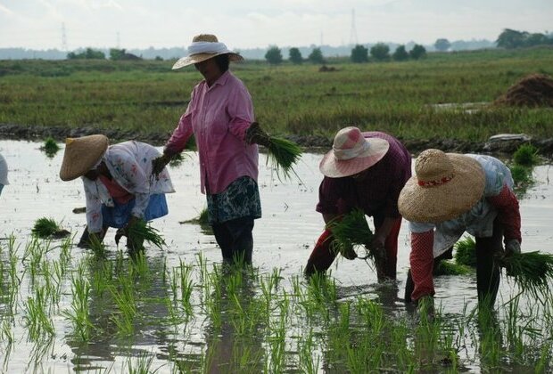 Tagalog News: DA patuloy ang pagtulong sa mga magsasaka sa CALABARZON