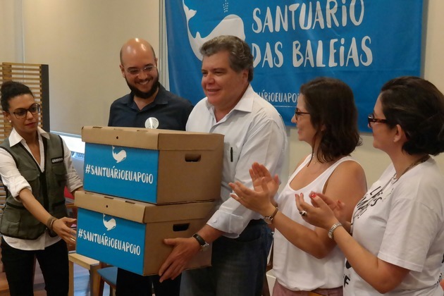 Brazil to support South Atlantic whale sanctuary bid