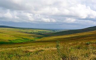 Funding round opens for low ground venison supply chain improvements