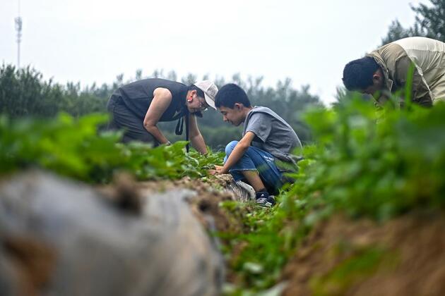 Farm work as therapy: support for children with autism or intellectual disabilities in N China's Tianjin