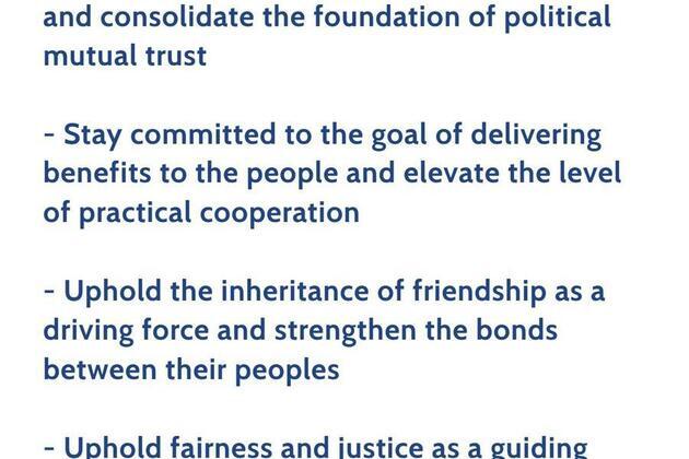 Xi puts forward four proposals on developing China-DPRK relations