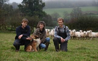 NSA Welsh Sheep Preview: Quality stock and sustainable systems key for host farm 