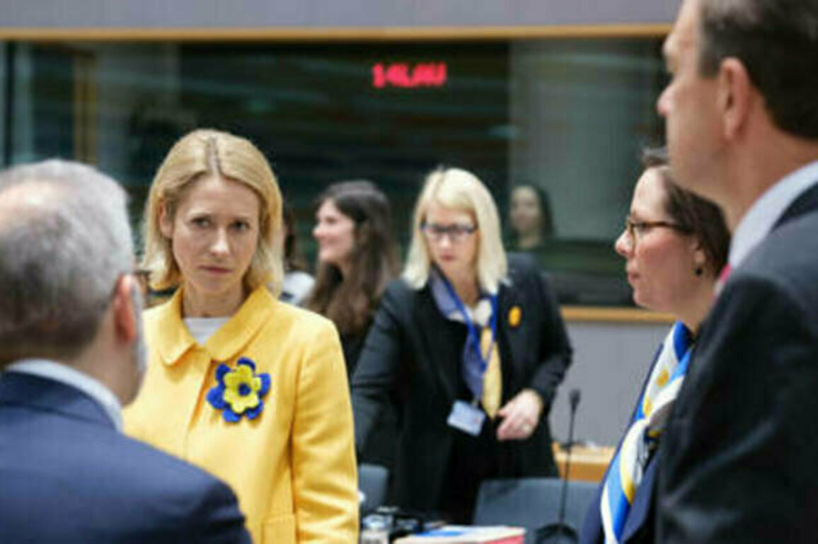 EU officials unhappy with Kallas - Politico
