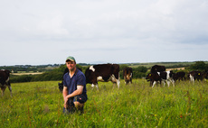 Pembrokeshire dairy farmer adopts regen methods to boost farm finances