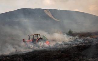 Wildfire prevention: protecting your farm before it is too late