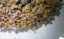 Visible gold from drill chips