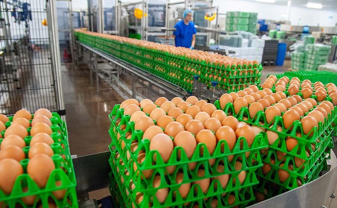 Extra 40p needed to save the free-range egg industry