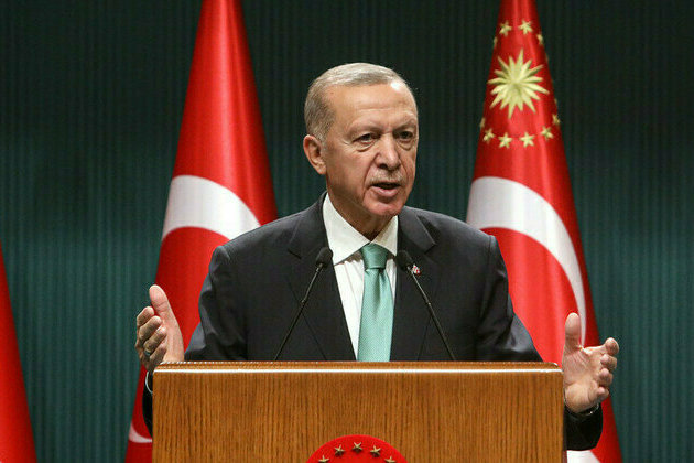 Trkiye happy to continue mediating Ukraine conflict  Erdogan