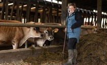 New entrant secures farm tenancy and creates thriving dairy enterprise using regen methods