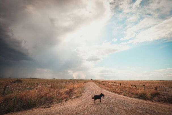 Parts of drought-impacted southern Australia have received much needed rain. 