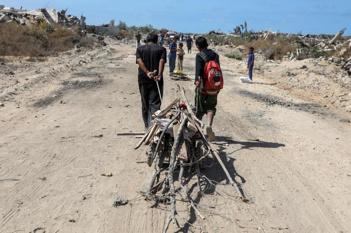 Xinhua Commentary: Gaza ceasefire brings hope, challenges remain
