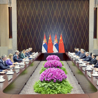 CHINA-SHANGHAI-LI QIANG-SERBIAN PM-MEETING (CN)
