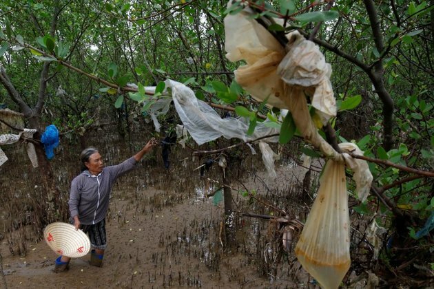 Dumping Plastic Waste in Asia Found Destroying Crops and Health