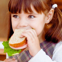 Bacteria and Mold Found in School Sandwiches in Bulgaria