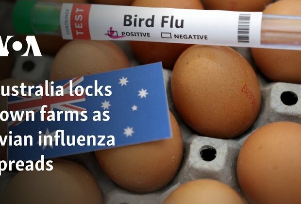 Australia locks down farms as avian influenza spreads