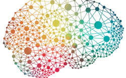 Guardian adds neurological support to HALO claims service