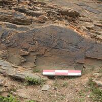 2,200-yr-old engraved stone discovery illuminates Chinese civilization on "roof of the world"