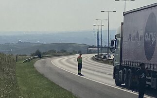 Cow 'chilling' on M62 causes disruption for travellers  