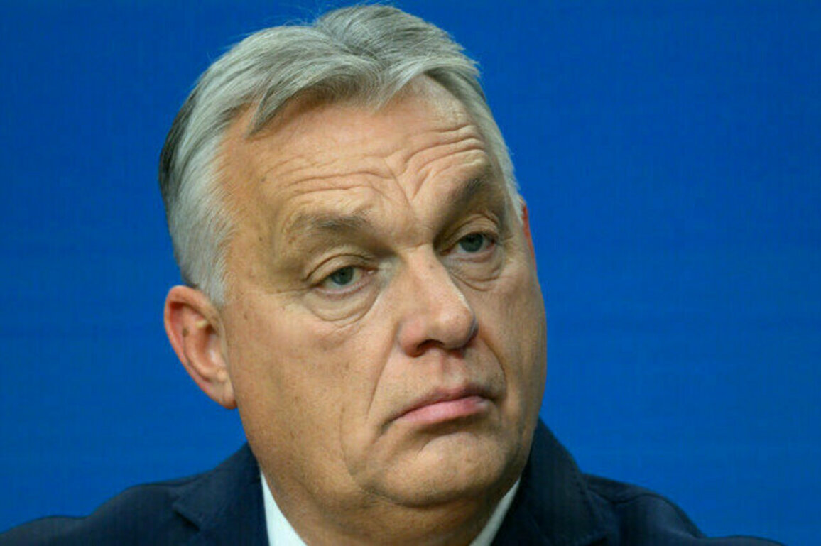 Hungary to ban LGBTQ parades  Orban