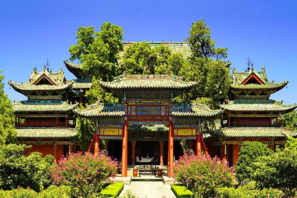 Ancient trees stand tall thanks to better protection