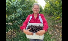  Ingrid Roth: Rural Consultant of the Year as part of the 2023 Australian Farmer of the Year Awards