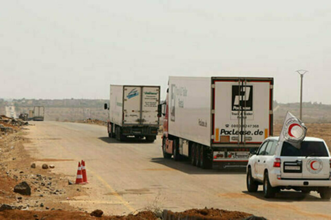 Ninth humanitarian convoy delivers aid to Sweida