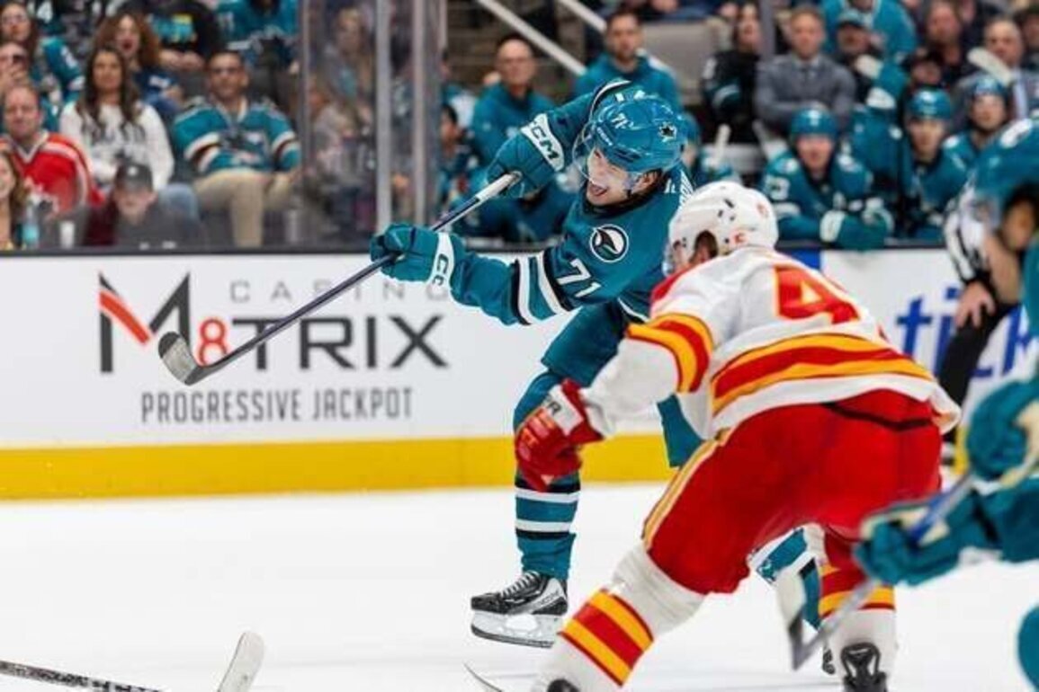 Sharks relish role as contender while Jets languish near bottom