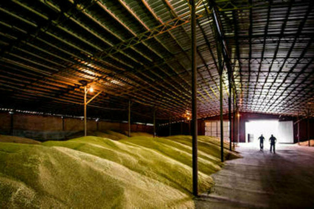 Egyptian mercantile exchange to launch with Russian wheat